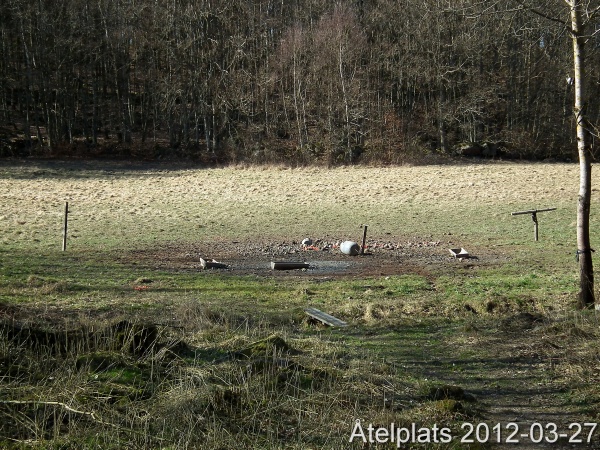 Åtelplats